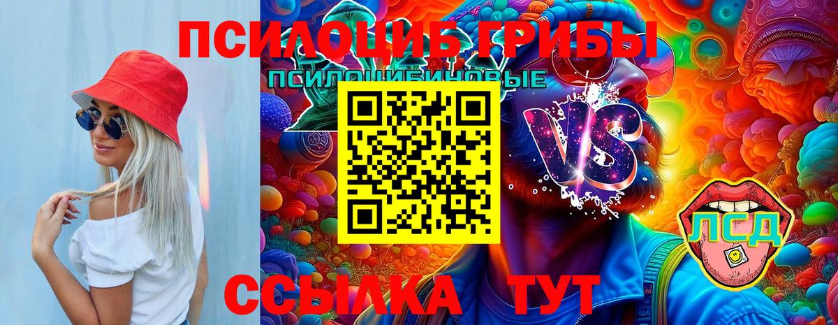 Галлюциногенные грибы Cubensis  Вход с VPN  Галлюциногенные грибы ЛСД  Урус-Мартан 
